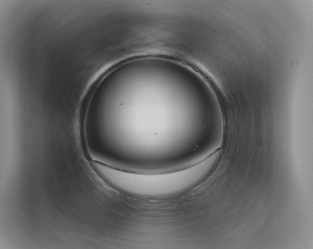 X0000112381460200908131519