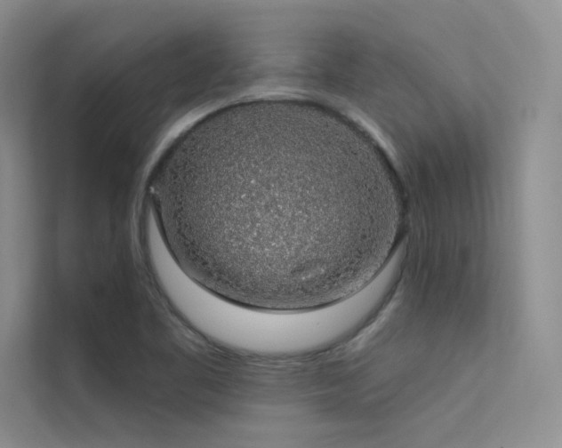 X0000112381461200908131519