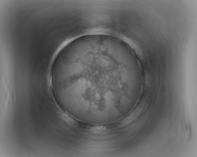 X0000112381462200908131519