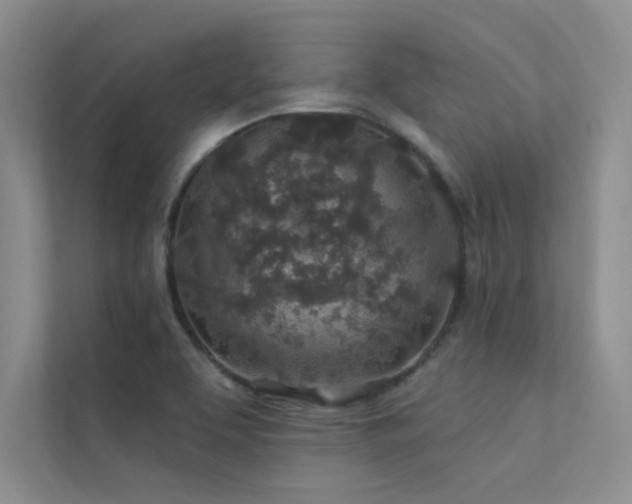 X0000112381463200908131519