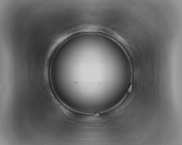 X0000112381464200908131519