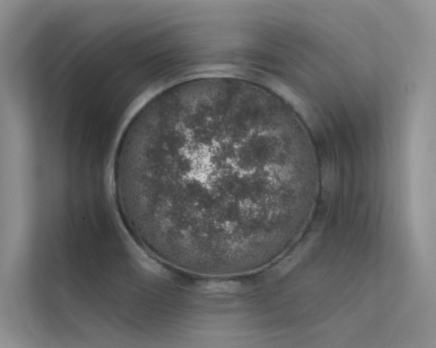 X0000112381466200908131519