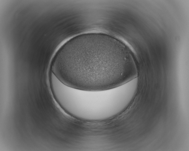 X0000112381468200908131519