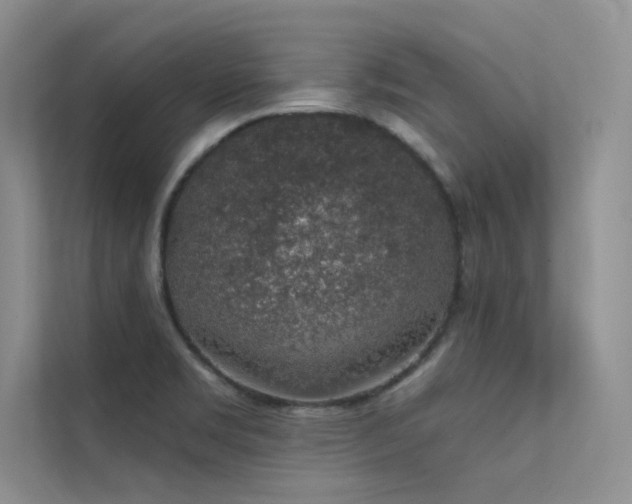 X0000112381469200908131519