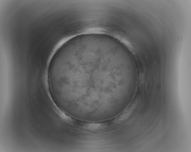 X0000112381470200908131519