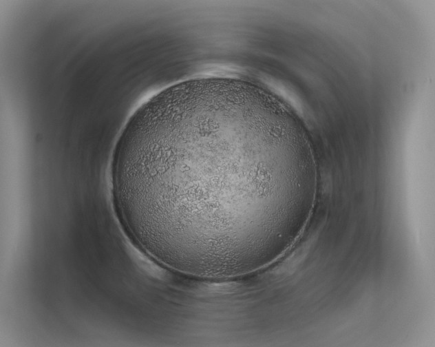 X0000112381471200908131519