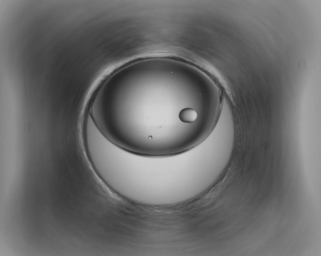 X0000112381472200908131519