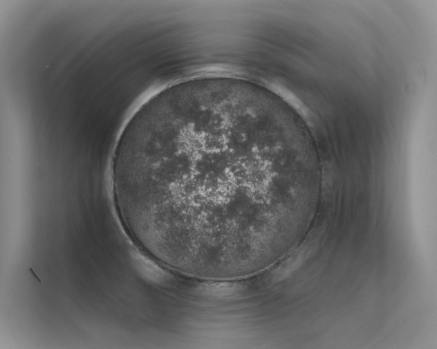 X0000112381474200908131519