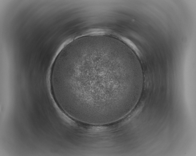 X0000112381475200908131519