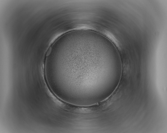 X0000112381476200908131519