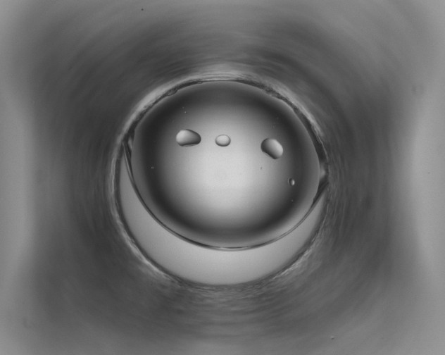 X0000112381477200908131519