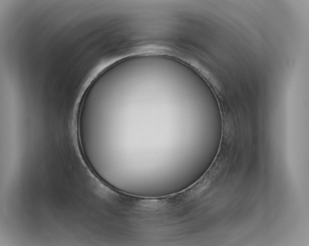 X0000112381478200908131519