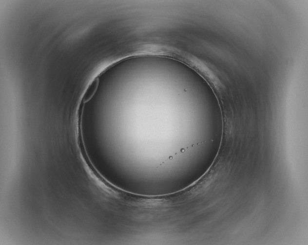 X0000112381479200908131519