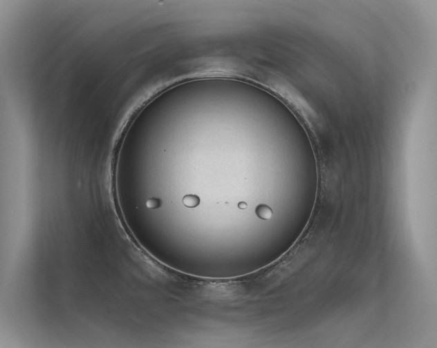 X0000112381480200908131519