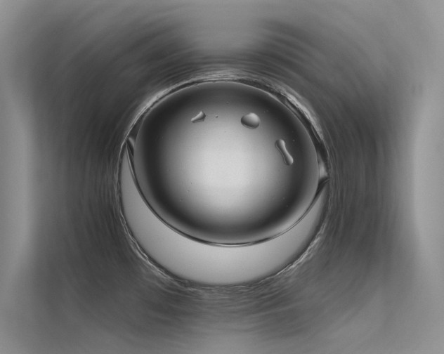 X0000112381481200908131519