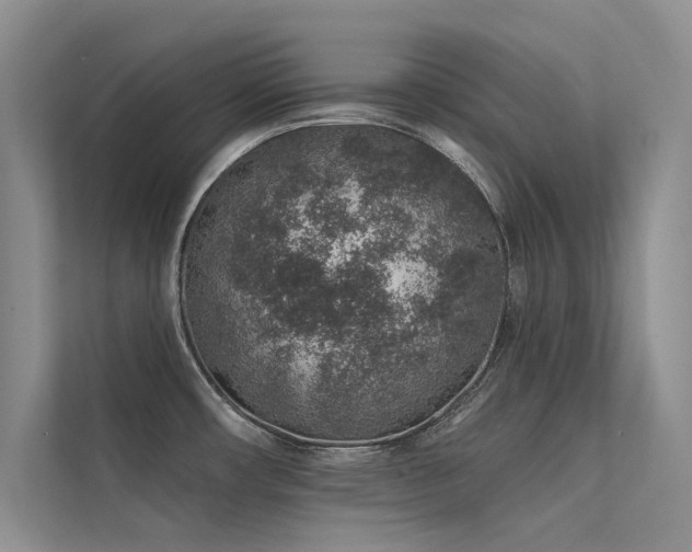 X0000112381482200908131519