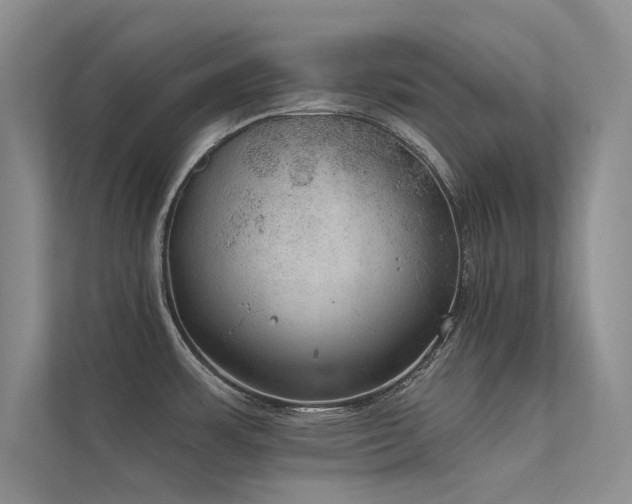 X0000112381483200908131519