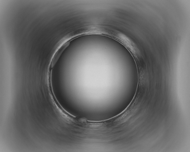 X0000112381484200908131519