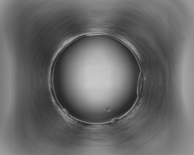 X0000112381485200908131519