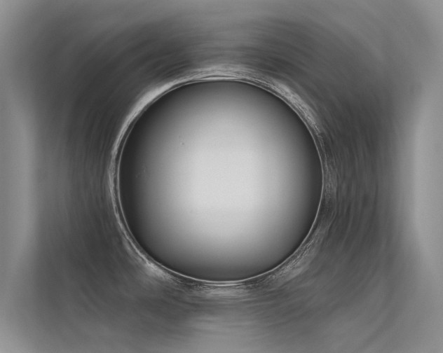 X0000112381486200908131519