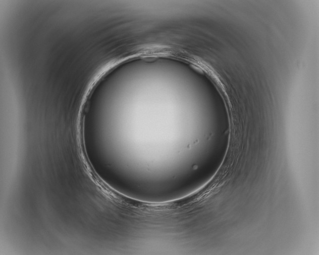 X0000112381488200908131519