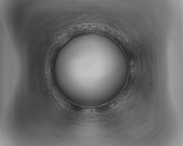 X0000112381489200908131518