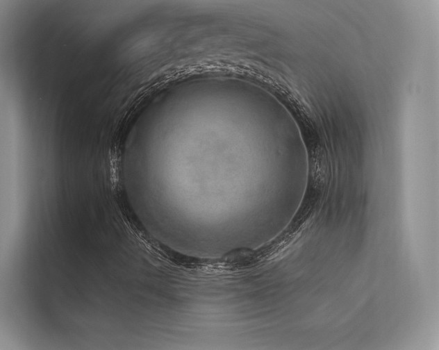 X0000112381490200908131518