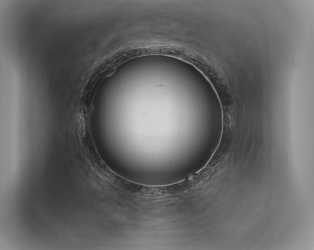 X0000112381493200908131518