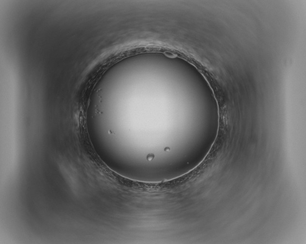 X0000112381495200908131518