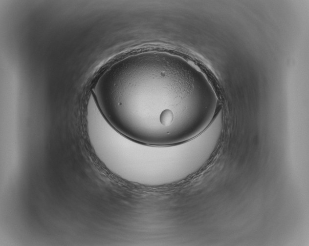 X0000112381496200908131518