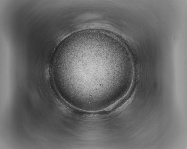 X0000112381497200908131518