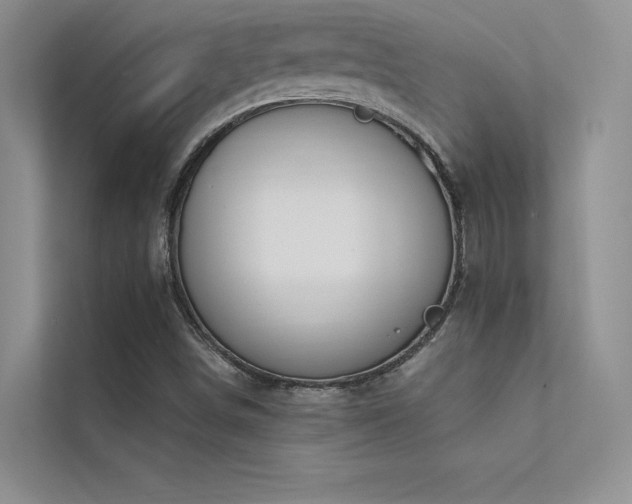 X0000112381498200908131518