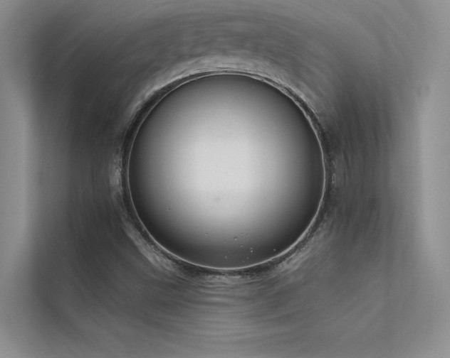 X0000112381499200908131518