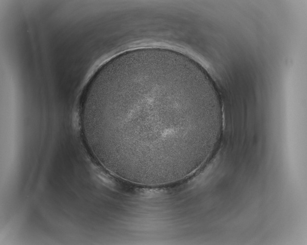 X0000112381501200908131518