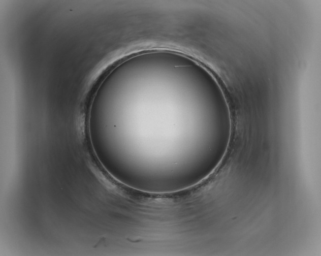 X0000112381503200908131518