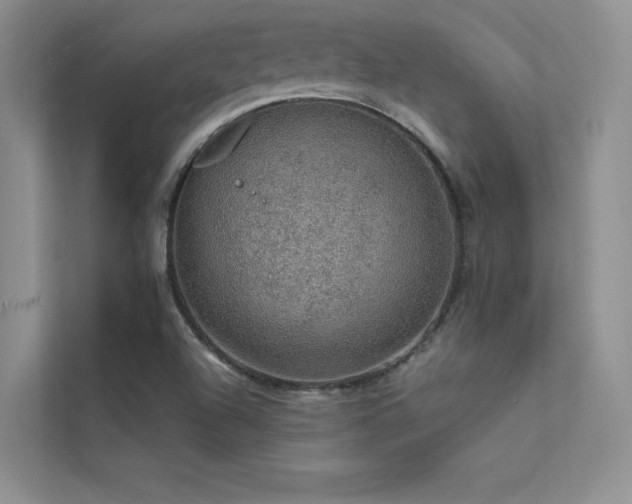 X0000112381504200908131518