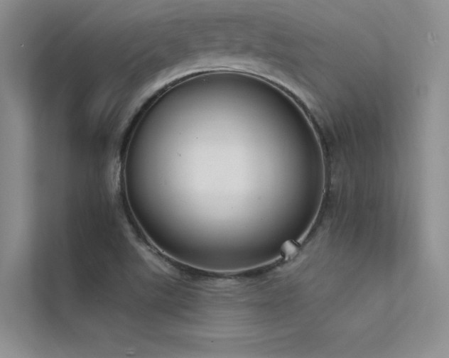 X0000112381507200908131518