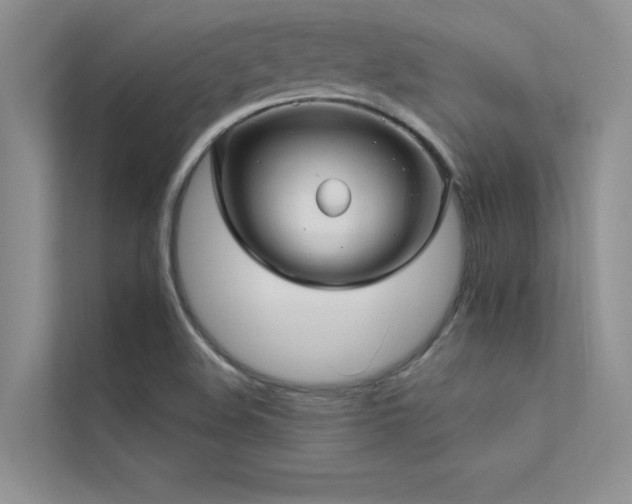 X0000112381508200908131518