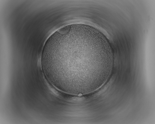 X0000112381513200908131518