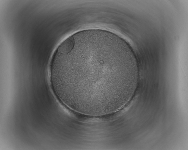 X0000112381517200908131519