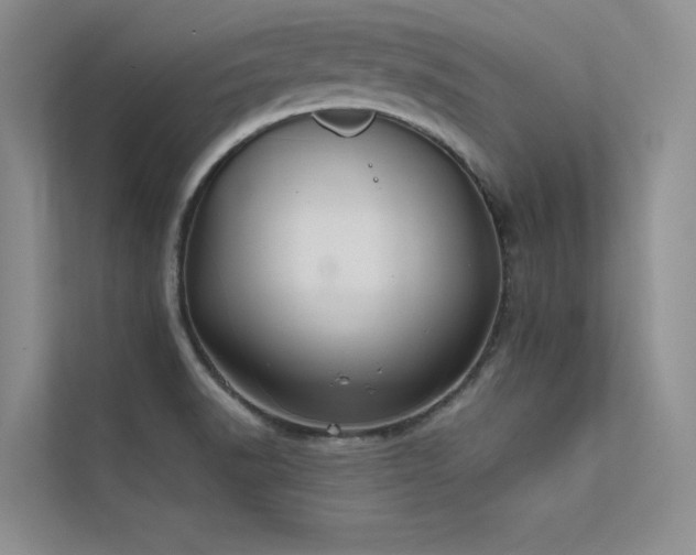 X0000112381518200908131519