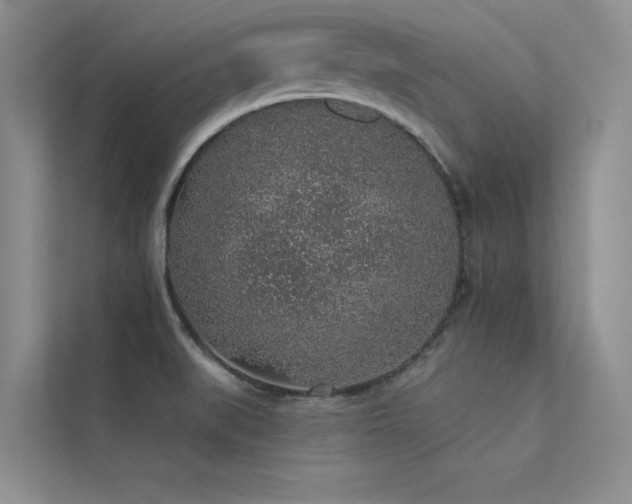 X0000112381519200908131519