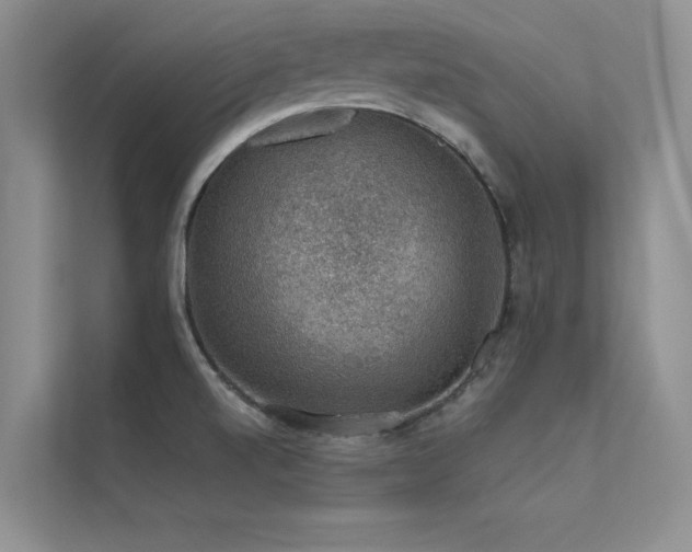 X0000112381520200908131519