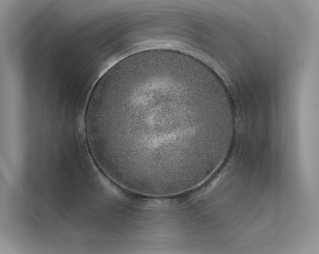 X0000112381521200908131519