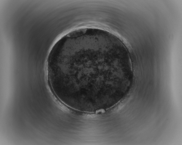 X0000112381522200908131519