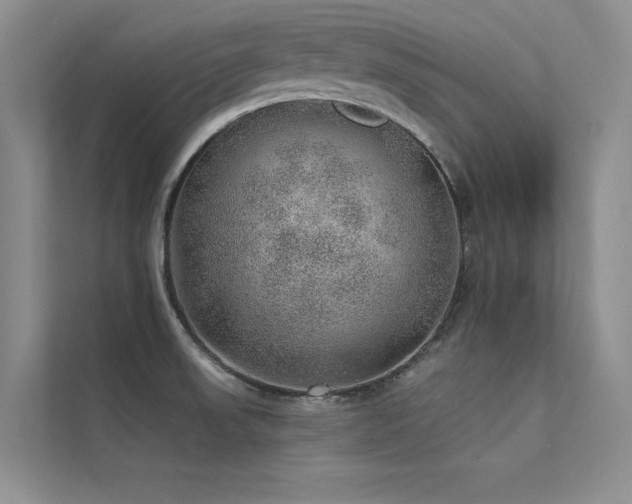 X0000112381523200908131519