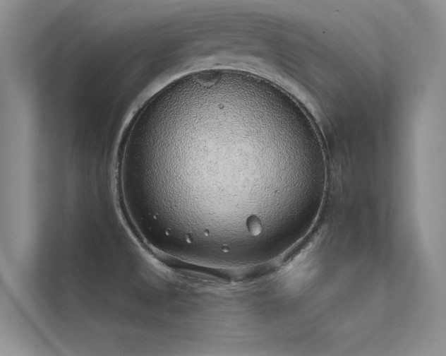 X0000112381525200908131519