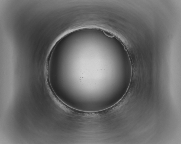 X0000112381526200908131519