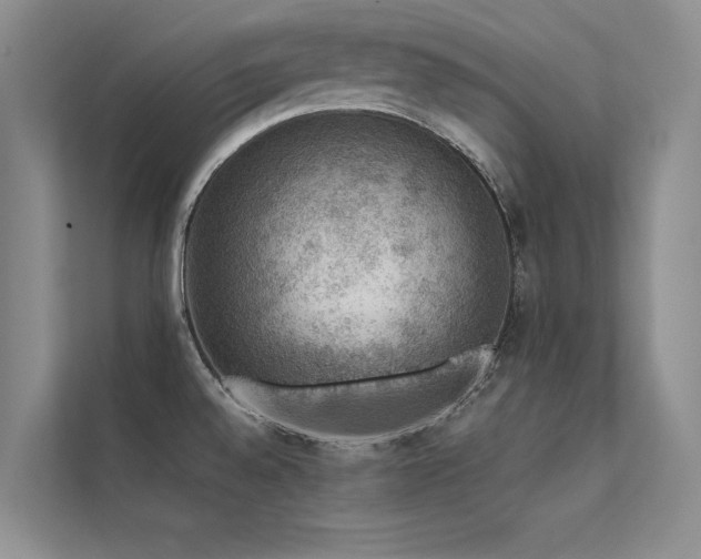 X0000112381528200908131519