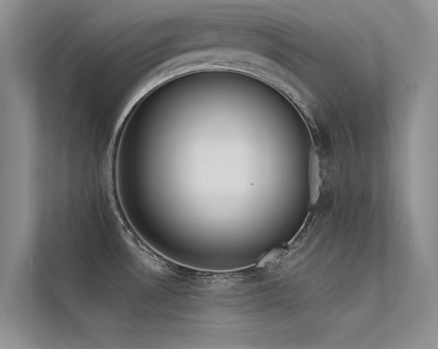 X0000112381530200908131519